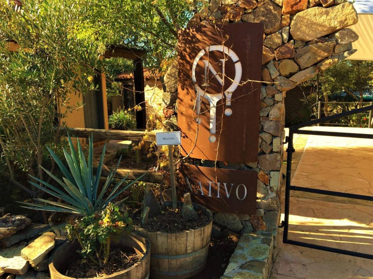 ואלה דה גוואדלופה Suites Nativo - Beautiful Vineyard & Valley View מראה חיצוני תמונה